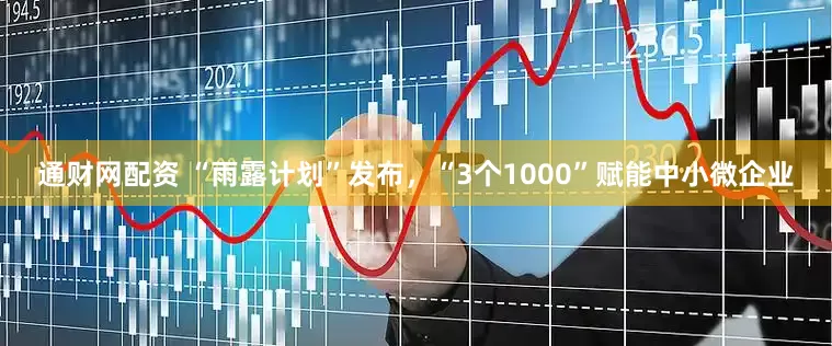 通财网配资 “雨露计划”发布，“3个1000”赋能中小微企业